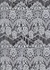 fashion lace lingerie fabric for ladies' clothing