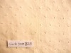 fashion ladies dress 100 cotton voile fabrics