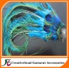 fashion peacock  feather headband