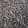 fashion printed and foamed nylon taffeta fabric