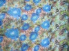 fashionable transparent chiffon fabric flower