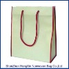 fashional promotion recycle pp non woven bag