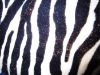 faux fur blanket fabric
