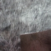 faux fur fabric