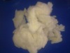fawn scoured sheep wool