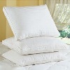 feather down pillow & cushion