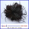 feather hair flower