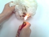 flame retardant viscose fiber