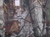 forest camo fabric
