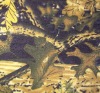 forest camo fabric