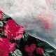 garden plant fleece cover
