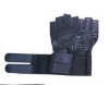 glove