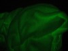 glow in the dark plush Fabric