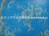 golden dress lace fabric M5031