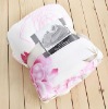good visual effect polyester coral blanket