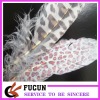 gorgeous ostrich feather