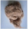 gray  polyester fiber