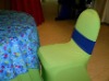 green color stretch chair cover,CT266,fit for all the chairs