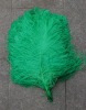 green decoration ostrich feathers