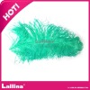 green ostrich feathers