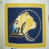 head logo printed fleece fabric