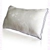 healthy  pillow