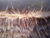 high pile fake fur/jacquard fake fur fabric