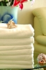 holiday inn quality hotel towel