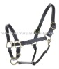 horse leather halter