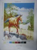 horse printed fleece fabric