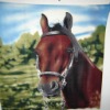 horse printed fleece fabric