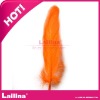 hot sale and fashion goose down feather