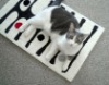 hot sell fashion modern door mat