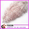 hot sell  ostrich feather