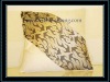 hot-sell pillow cover
