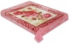 hot selling ryan weft and raschel polyester mink Blanket