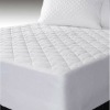 hotel anti-bacteria,fitted style,water proof mattress protector/mattress cover