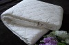 hotel anti-bacteria,fitted style,water proof mattress protector/mattress cover