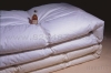 hotel bedding set - duck down quilt