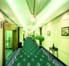 hotel carpet Wilton carpet wool carpet rug woven corridor domeino