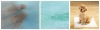 hydrophilic SS nonwoven fabric--laminated with breathable/PE film to be used in pet mat