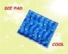 ice pad