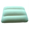 inflatable back cushion