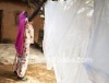 insecticide treated mosquito net from malaria and against other insect disease