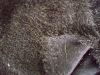 knitting/for 2011