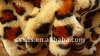 leopard blanket polyester knitted and tricot printed velboa fabric