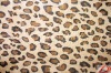 leopard grain fleece