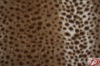 leopard grain two sides brushed fleece