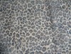 leopard printed chiffon fabric