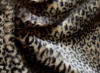 leopard skin point Faux Fur